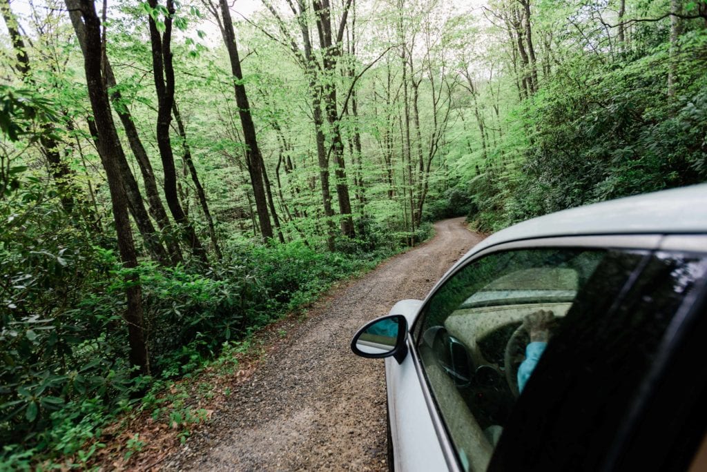 A National Forest and National Park elopement location where a car is driving down a narrow dirt road, with lush green trees flanking the road