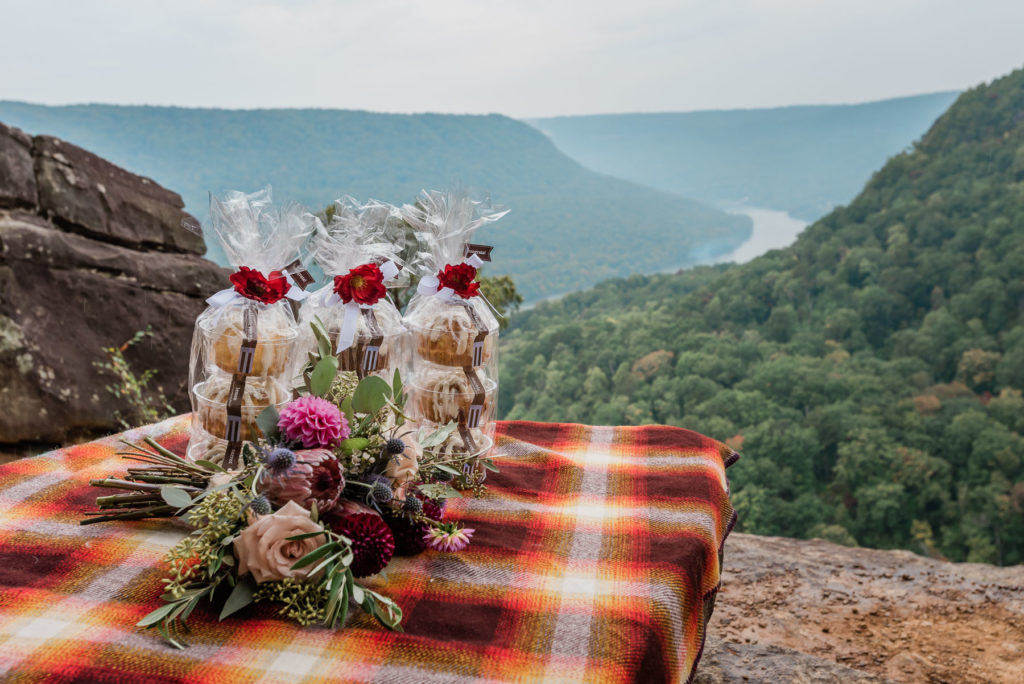 pre-packaged mini cakes sit on a rock overlooking the river and are a way to reduce cost to elope and an easy to travel with option for adventure weddings