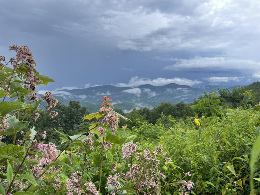 This is a moody picture from a stormy day. It is a picture of the blue ridge parkway, a road through the words that would make a great place to elope in North Carolina