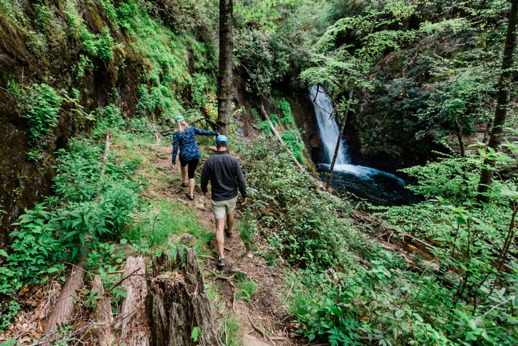 A couple hikes on a trail back towards a waterfall in a lush green hollow in near the Blue Ridge Mountains and the Blue Ridge Parkway for an Asheville elopement where a couple would need to plan how to adjust wedding plans after Hurricane Helene